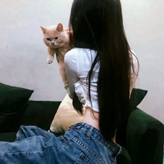 舞娘人生 在线观看
